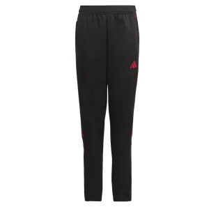 Adidas Tiro 23 Youth Track Pants